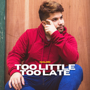 Too Little Too Late (Cover)