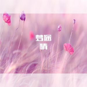 情 (空拍伴奏)