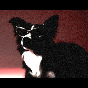 アンダードッグ