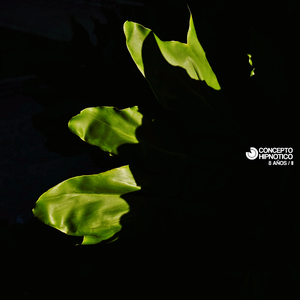 Melastic (Original Mix)