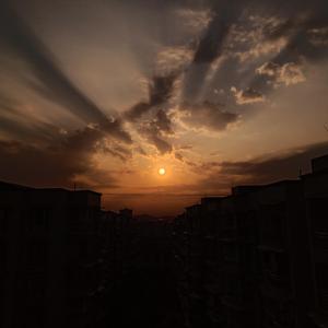 斑马，斑马
