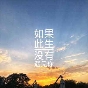 If I never met you in this life（翻自 陈硕子）
