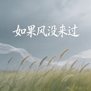 如果风没来过