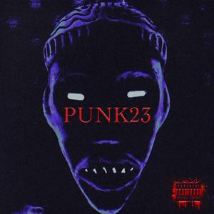 Punk (feat. Rudy & RVKU)