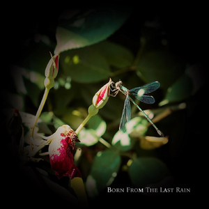 Fragments of the Liminal