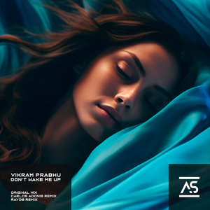 Don't Wake Me Up (Vocal Mix)