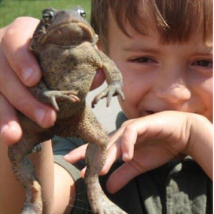 Bullfrog