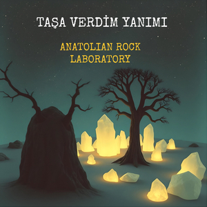 Taşa Verdim Yanımı