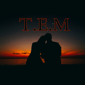 T.E.M