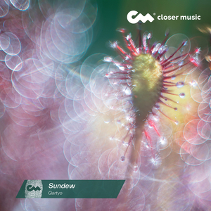 Sundew (Instrumental)