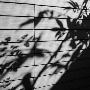 【钢琴】烟花绚烂之夜