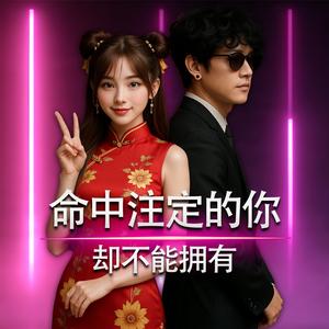 รักที่ไม่บังเอิญ แต่ไม่อาจครอบครอง (Chiness Version)