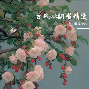 春迟花落半