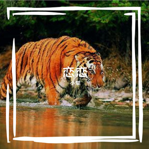 情定烟雨江南岸