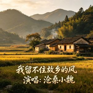 我留不住故乡的风