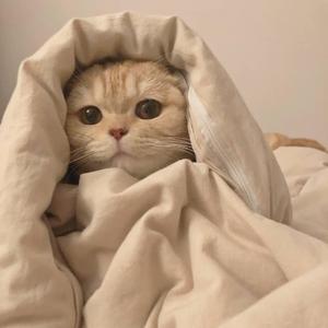 自从遇见你（翻自 虞书欣）