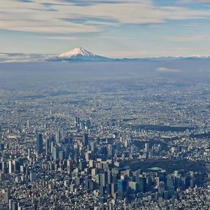 缺个理由缺个身份联系你