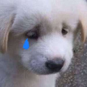 唉 （prod by Cario）