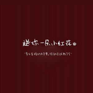 送你一朵小红花（二胡版）（翻自 赵英俊）