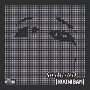 Hoonigan