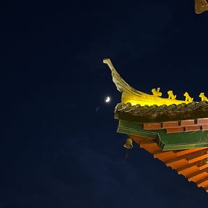 落（影视剧《玉茗茶骨》插曲）