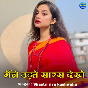 Maine Udte Saras Dekhe