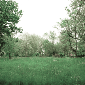 La Petite Chapelle: Rues Basses