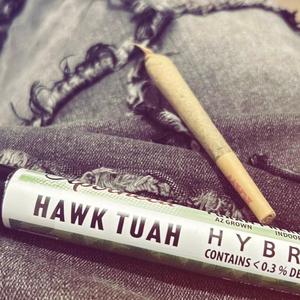 2025 FREESTYLE (feat. V O i D & Sorei)