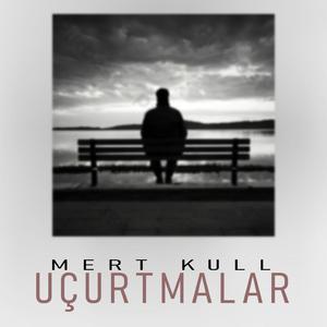Uçurtmalar