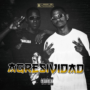 Agresividad