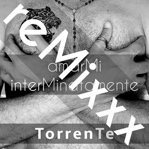 amarmi interminatamente (remix)
