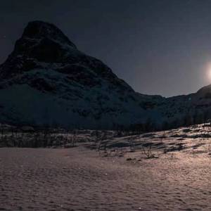 小鱼海棠（9Zi）