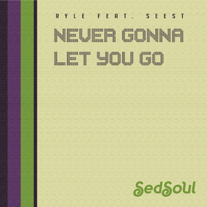 Never Gonna Let You Go (Instrumental) [Feat. Seest]