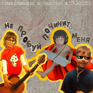не пробуй починить меня
