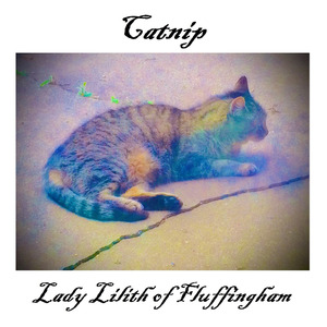 Catnip
