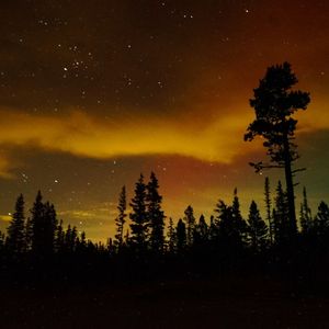 褪色的老照片回忆