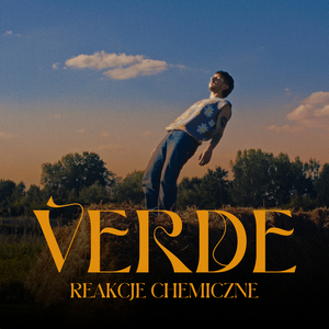 Reakcje Chemiczne