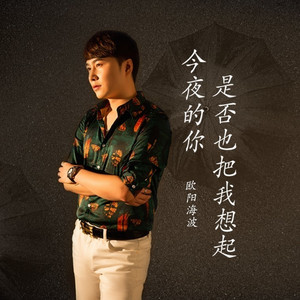 今夜的你是否也把我想起