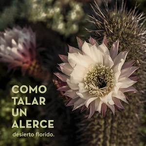 Desierto Florido
