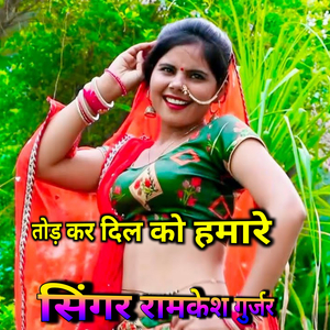 तोड़ कर दिल को हमारे