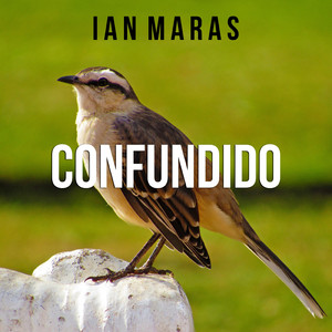 Confundido