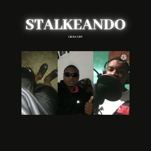 Stalkeando