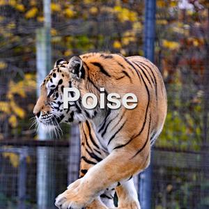 Poise