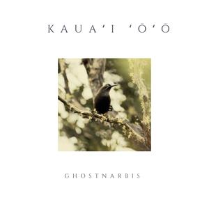 Kauaʻi ʻōʻō