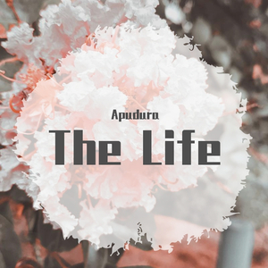 昏昏欲睡的下午