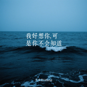 我好想你，可是你不会知道