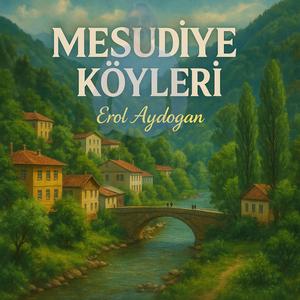 Mesudiye Köyleri