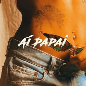 Aí Papai (feat. Joy Romantic) (Plug Remix)