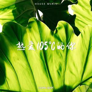 抖音热歌DJ - 热爱105度的你 (日语) #Remix