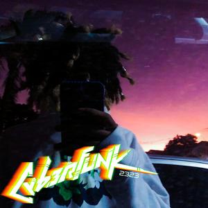 09 Le Concessionnaire